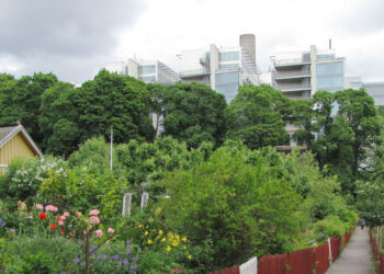 Retribuzione di base per gestire orti e giardini urbani comuni