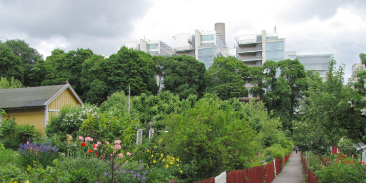 Retribuzione di base per gestire orti e giardini urbani comuni