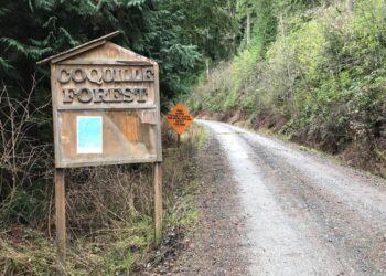 Imprese municipali che salvano economia, storia, ambiente e posti di lavoro