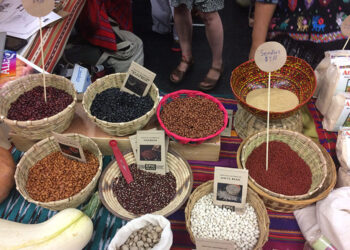 Le banche indigene dei semi battono quelle dei ricchi – prima parte