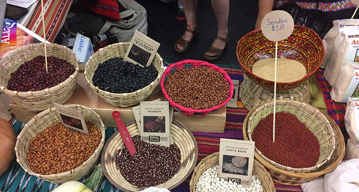 Le banche indigene dei semi battono quelle dei ricchi – prima parte