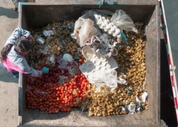 Dare cibo e lavoro a tutti senza produrre rifiuti