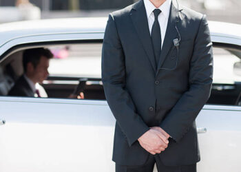 Le guardie del corpo dei cambiamenti climatici