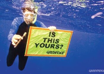 Eliminare i rifiuti usando intelligentemente gli insetti