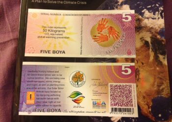 Monete complementari di comunità per ridurre i gas serra