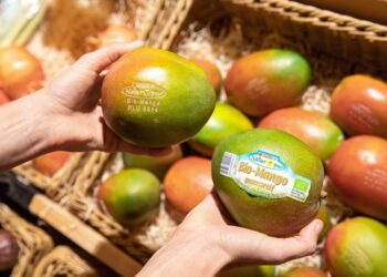 Le alternative agli imballaggi di plastica sugli alimenti