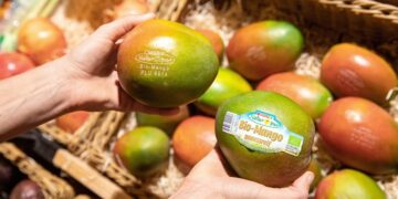 Le alternative agli imballaggi di plastica sugli alimenti