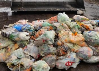 Utilizzare gli scarti alimentari per fare affari