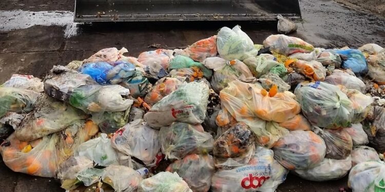 Utilizzare gli scarti alimentari per fare affari