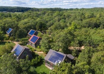 Case di legno che non bruciano ma combattono i cambiamenti climatici