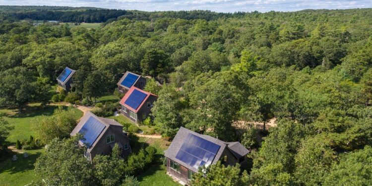 Case di legno che non bruciano ma combattono i cambiamenti climatici