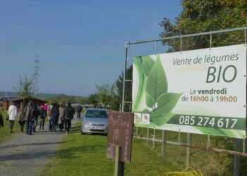 Fattorie urbane della solidarietà con l’agricoltura biologica