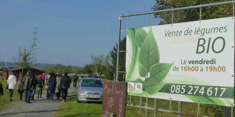 Fattorie urbane della solidarietà con l’agricoltura biologica