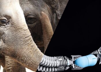 Più lavoro nel futuro con i robot ispirati dalla Natura