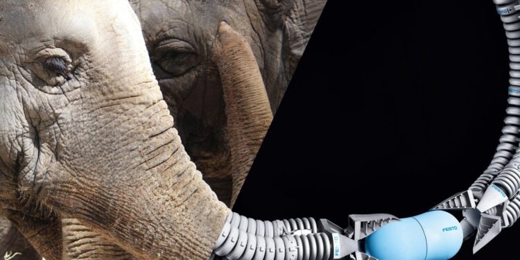 Più lavoro nel futuro con i robot ispirati dalla Natura