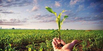 La biodiversità alimentare migliora la salute umana