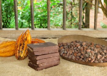 Cioccolata per i ricchi con lo sfruttamento dei poveri: le soluzioni