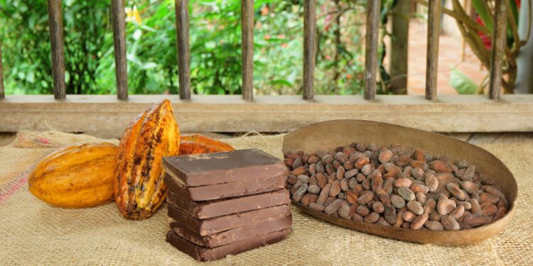 Cioccolata per i ricchi con lo sfruttamento dei poveri: le soluzioni