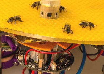 Algoritmi naturali per migliorare l’efficienza energetica delle case