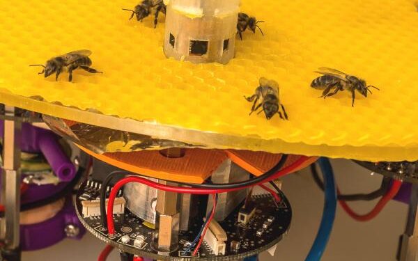 Algoritmi naturali per migliorare l’efficienza energetica delle case