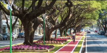 Rigenerazione dell’impollinazione nelle città per recuperare biodiversità