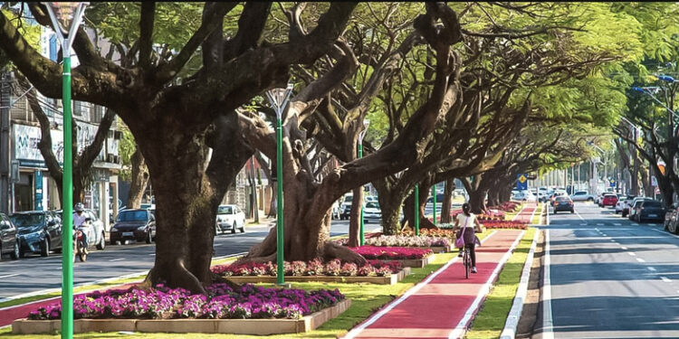 Rigenerazione dell’impollinazione nelle città per recuperare biodiversità