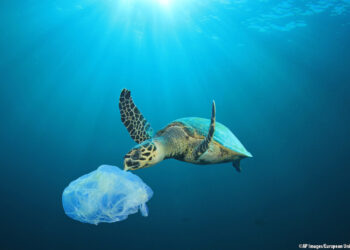 La transizione “saporita” verso rifiuti zero: imballaggi che si possono mangiare