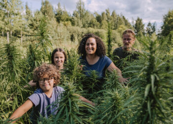 Prodotti ecosostenibili del futuro: la canapa