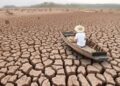 Non esiste transizione ecologica senza garanzia del lavoro