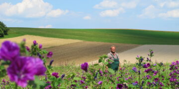Seminare fiori per produrre energia e calore con le api