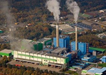 I costi del “greenwashing” biologico