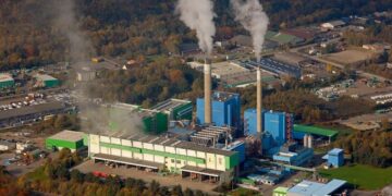 I costi del “greenwashing” biologico