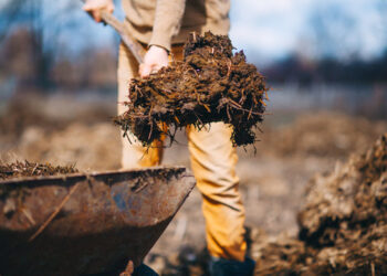 Riscoprire il valore della merda contro il Covid 19 e per il futuro dei giovani
