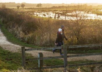 Lavoro futuro: recuperare le zone umide per aumentare la biodiversità
