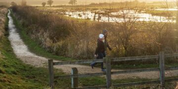 Lavoro futuro: recuperare le zone umide per aumentare la biodiversità