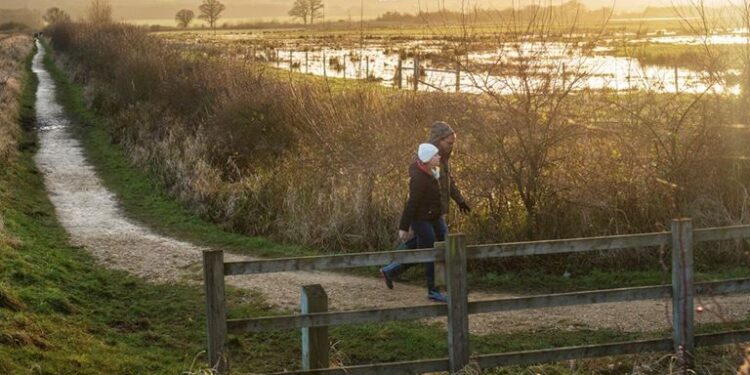 Lavoro futuro: recuperare le zone umide per aumentare la biodiversità