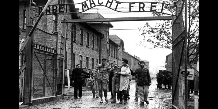 Perché la guerra è sempre un ottimo affare per i regimi idioti (prima parte)