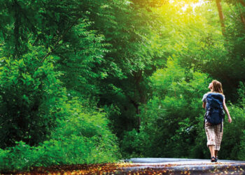 Il bagno nella foresta per curare lo stress cronico