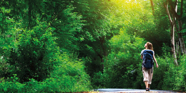 Il bagno nella foresta per curare lo stress cronico