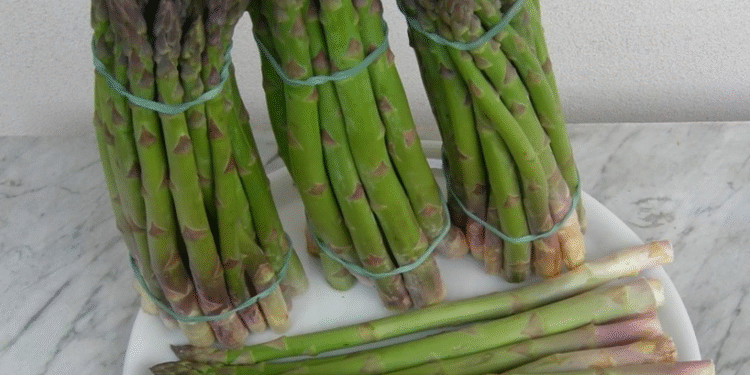 Cibo e protezione del clima con le coltivazioni perenni